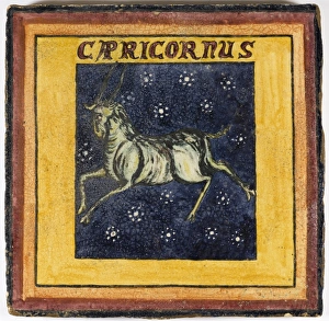 Approx Gallery: Zodiac Tile / Capricorn