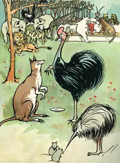 Zoo animals