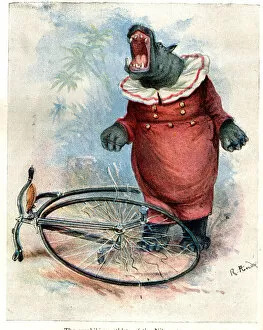 Images Dated 7th March 2019: Zoo Animals Up To Date on Cycles - Hippo on Penny Farthing