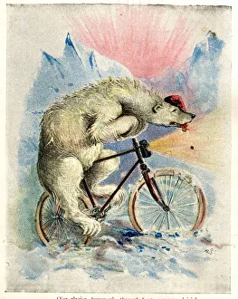 Images Dated 7th March 2019: Zoo Animals Up To Date on Cycles - Polar Bear on Bicycle