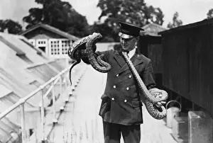 Keeper Prints: Zoo Keeper & Snakes
