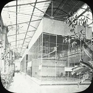 Roofed Prints: Zoo - Monkey House