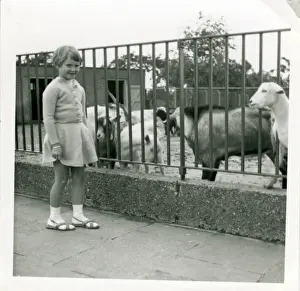 The Zoo, Southampton, Hampshire