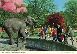 The Zoological Gardens, Dublin, Republic of Ireland