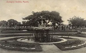 Zoological Gardens, Mysore, Karnataka, India