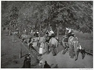 Regents Prints: Zoological Gardens, Riding Indian Elephants