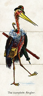 Stork Gallery: Zoological Misfitz - The Complete Angler