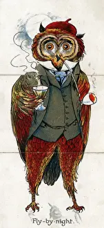 Zoological Misfitz - Fly-by-night Owl