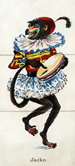 Tambourine Prints: Zoological Misfitz - Jacko