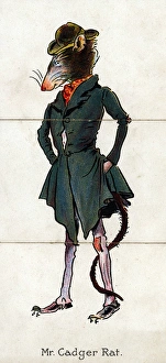 Rats Gallery: Zoological Misfitz - Mr Cadger Rat