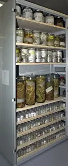 Spirit Jar Prints: Zoological specimens