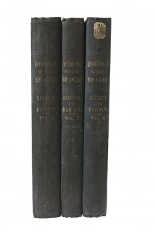 Spine Gallery: The zoology of the voyage of HMS Beagle