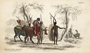 Zulu Gallery: Zulu family travelling with herd of cattle