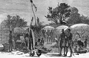 Live Stock Collection: ZULU KRaL