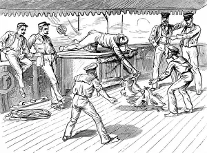 The Zulu war. On board a troop ship bound for the Cape