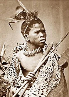Tribesman Prints: A Zulu Warrior, Victorian period