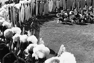 Zulu Warriors Dancing