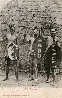Zulu Warriors - Southern Africa