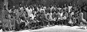 Zulu wars. The restoration of Cetshwayo