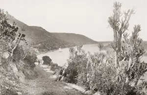 Southafrica Prints: Zwartkops River, near Port Elizabeth, South Africa